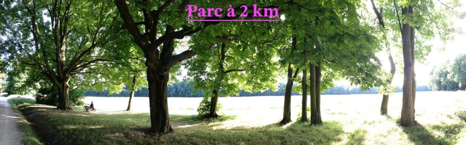 Chambre D'Hote A 13 Minutes De Disneyland Champs-Sur-Marne Esterno foto